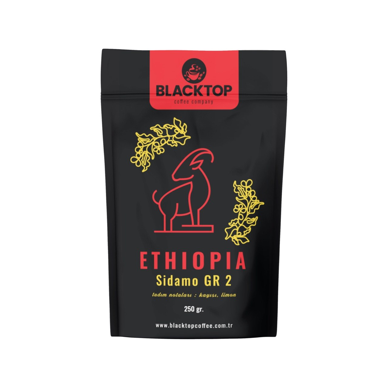 Ethiopia Sidamo GR2